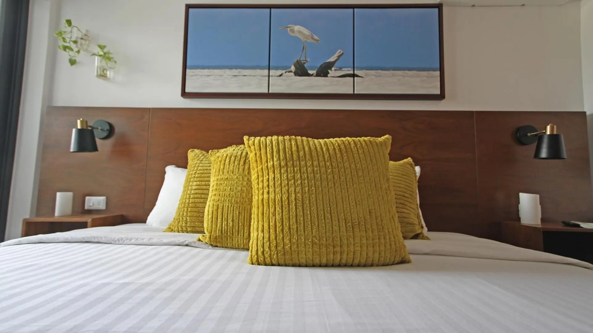Zilha 42 Apartment Playa del Carmen Mexico